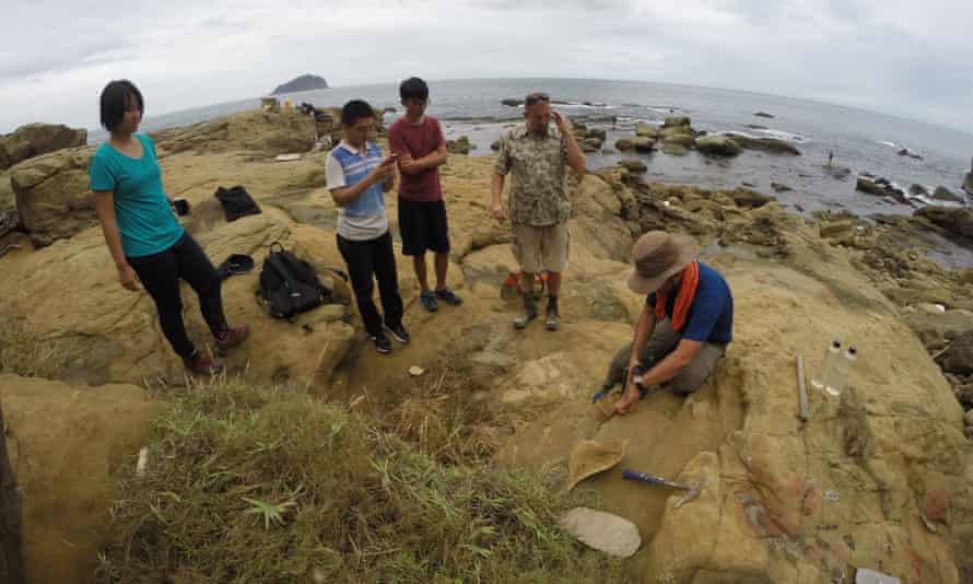 Researchers examine one of the burrows