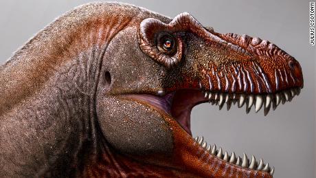 A farmer discovers a new type of dinosaur, one of the oldest dinosaurs to have existed